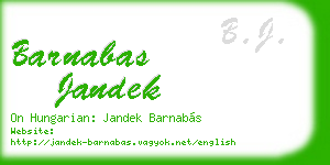 barnabas jandek business card