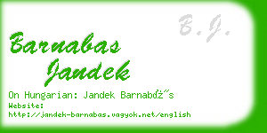 barnabas jandek business card